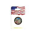 The Nations Capital Pin