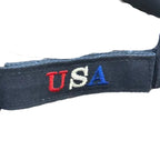 Blue Washington DC Sunvisor
