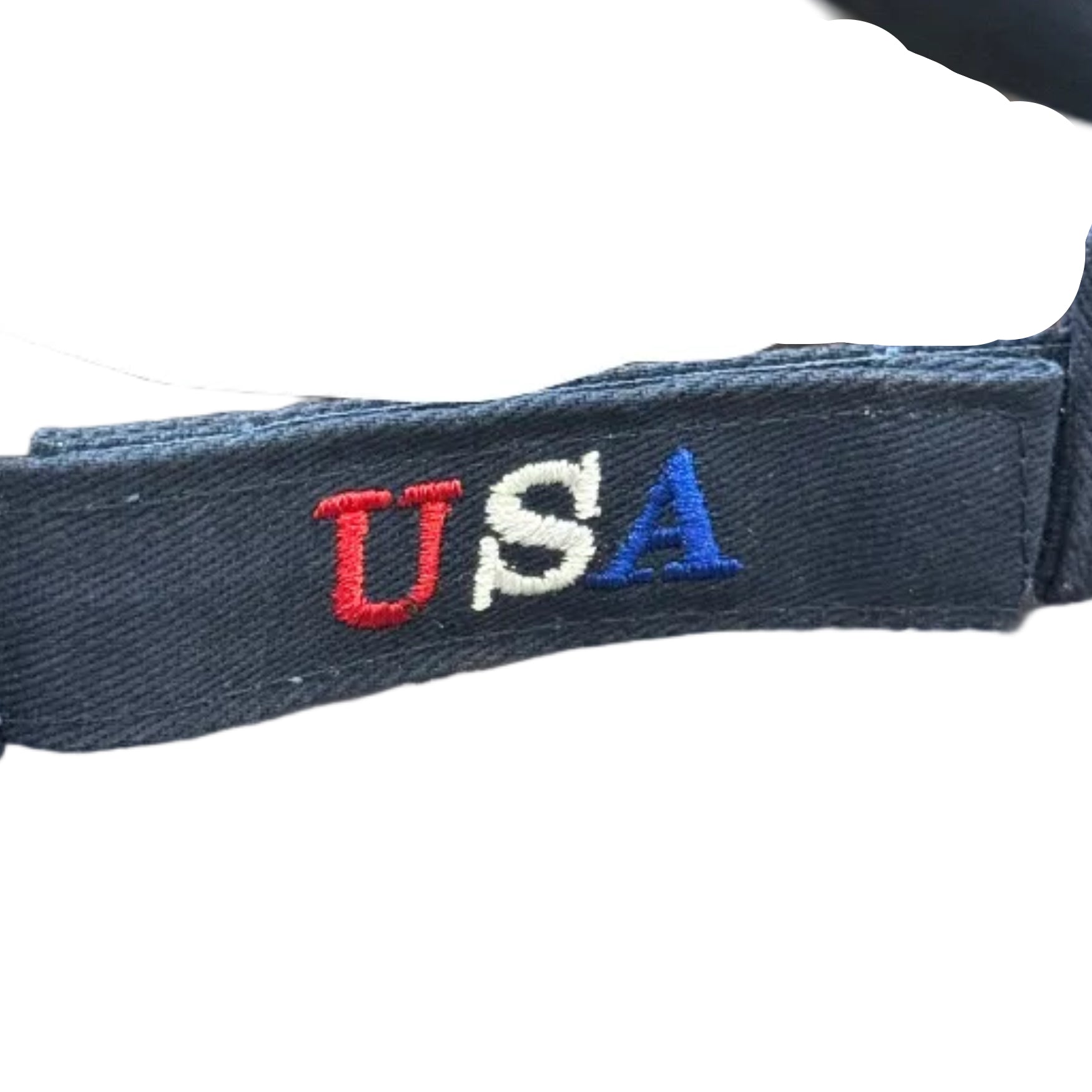 Blue Washington DC Sunvisor
