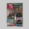 Cherry Blossom Washington Monument Magnet.