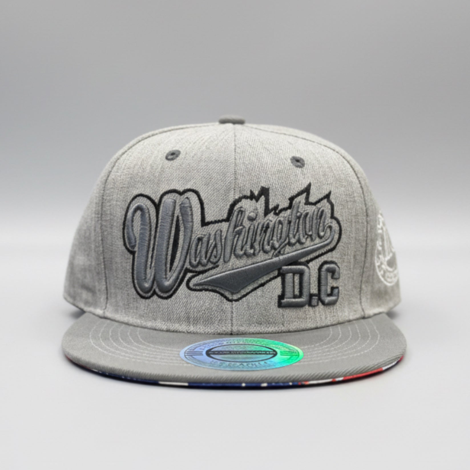 Washington DC Baseball Style Snapback.